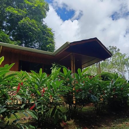 Gambas Lodge La Fortuna 外观 照片
