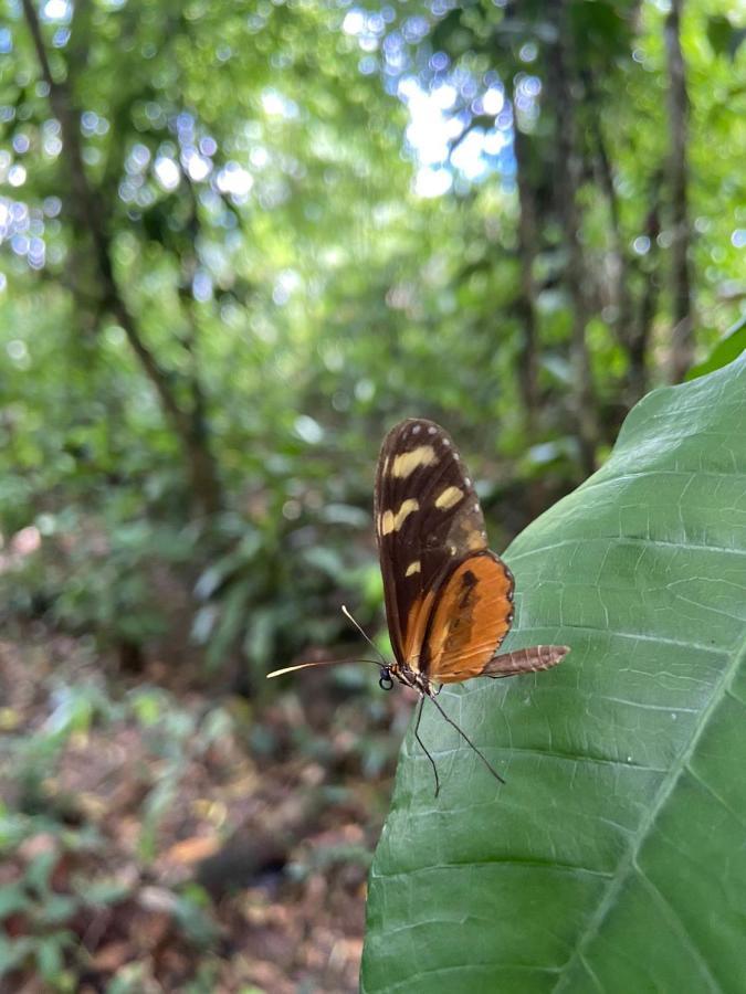 Gambas Lodge La Fortuna 外观 照片