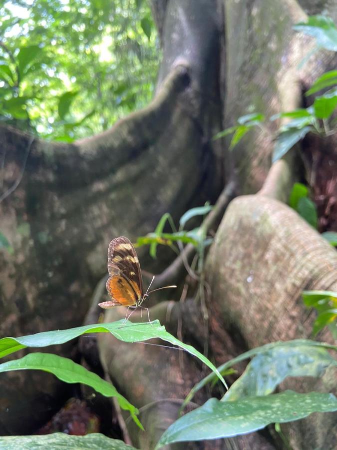 Gambas Lodge La Fortuna 外观 照片