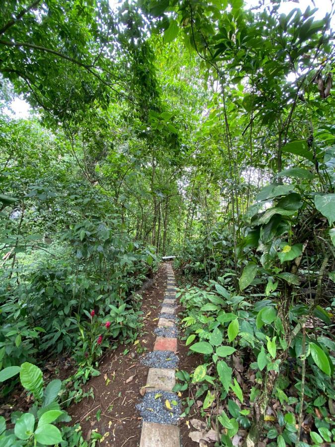 Gambas Lodge La Fortuna 外观 照片