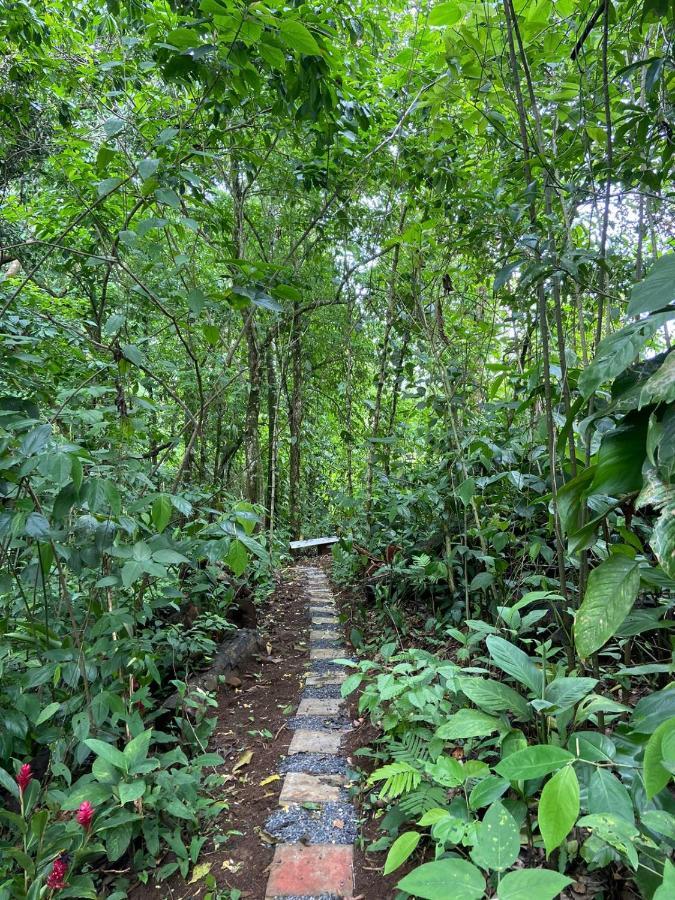 Gambas Lodge La Fortuna 外观 照片