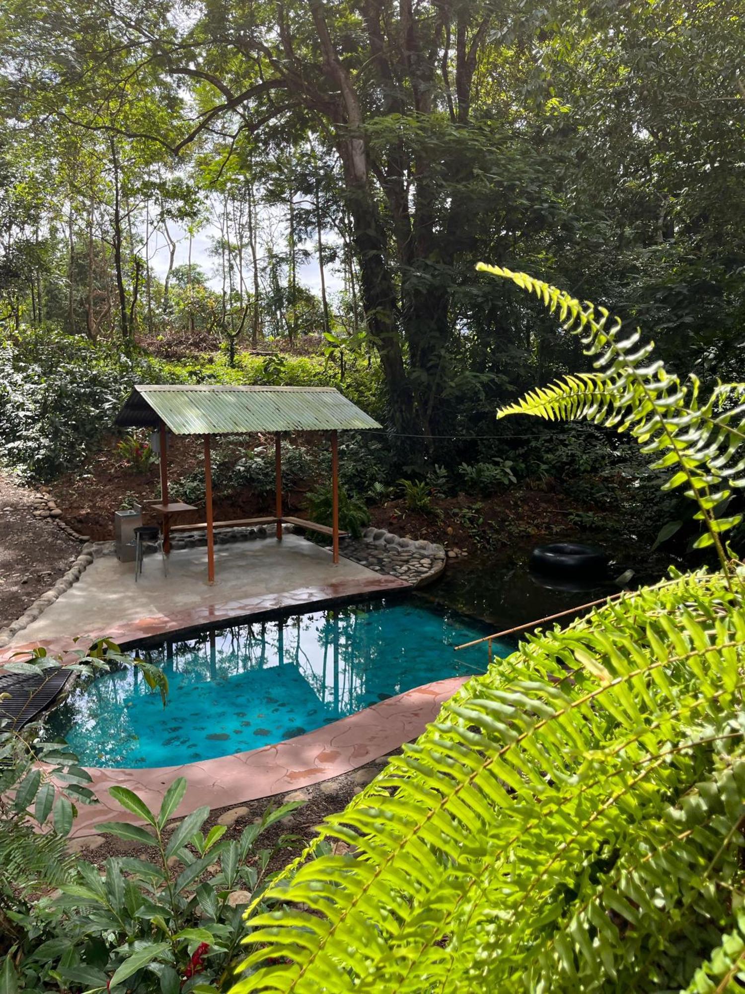 Gambas Lodge La Fortuna 外观 照片
