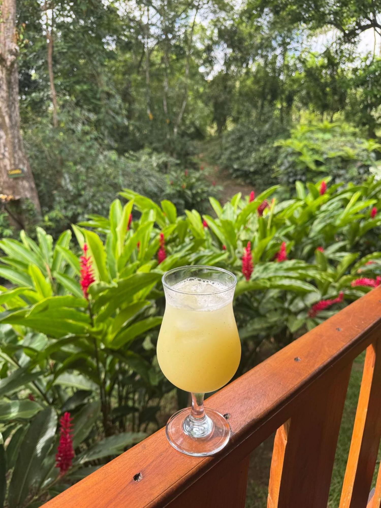Gambas Lodge La Fortuna 外观 照片